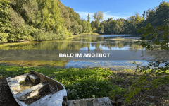 Hauptbild Bald im Angebot: Freizeitgrundstück mit Teich und Baumbestand